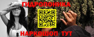 таблы Краснознаменск