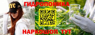 ГАЛЛЮЦИНОГЕННЫЕ ГРИБЫ Краснокаменск