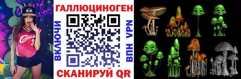hydra онион  дарк нет наркотические препараты  Шахты  Псилоцибиновые грибы прущие грибы  купить наркотик 