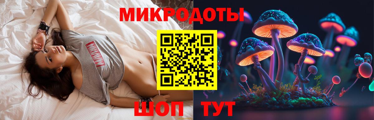 Галлюциногенные грибы мухоморы  Шахты  Галлюциногенные грибы Cubensis 